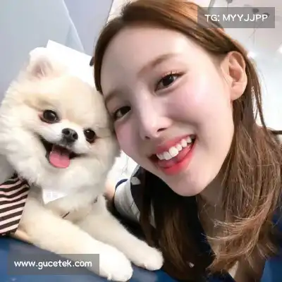 毛岱权